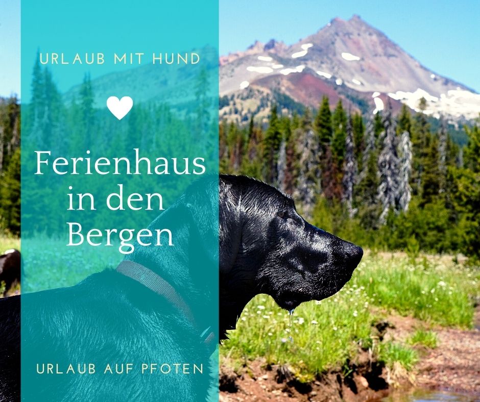 Einsame Hütte In Den Bergen Mit Hund Mieten Urlaub mit Hund in den Bergen