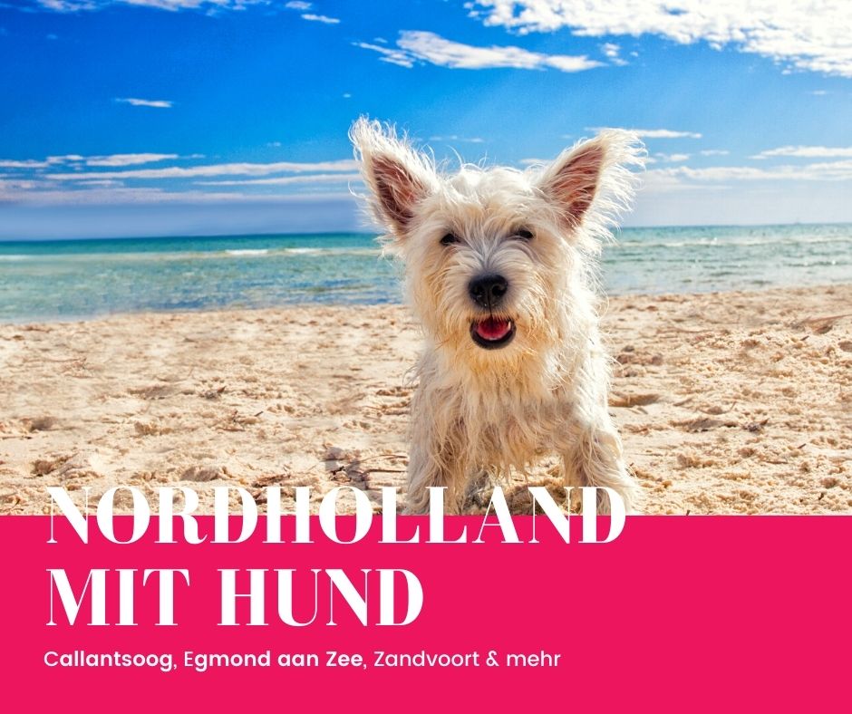 Kurzurlaub mit hund Nordholland