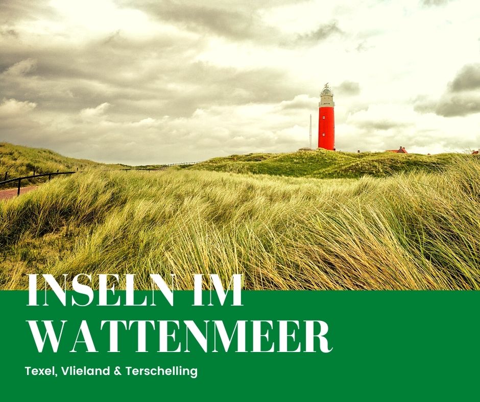 Kurzurlaub mit Hund am Wattenmeer