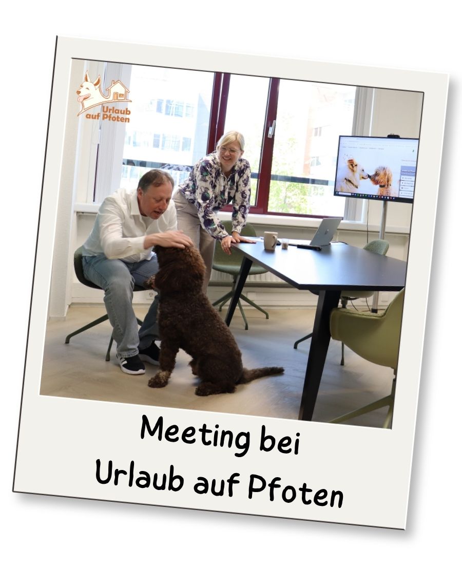Das Urlaub auf Pfoten-Team und Hund Mattie - foto 2