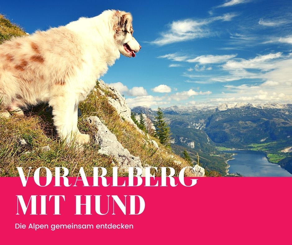 Kurzurlaub mit hund in Voralberg