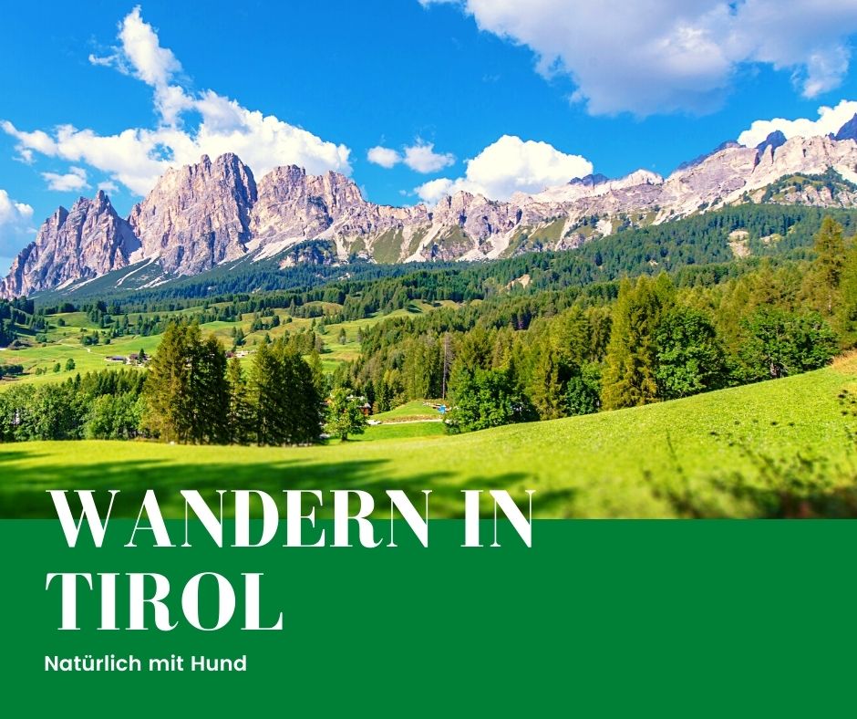 Kurzurlaub mit Hund in Tirol