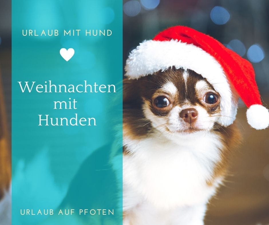 Zwischen Weihnachten Und Neujahr Urlaub Mit Hund Zwischen Weihnachten Und Neujahr Urlaub Mit Hund