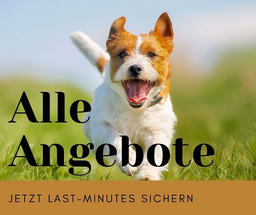 Ferienhäuser mit Hund, alle Last-Minute Angebote