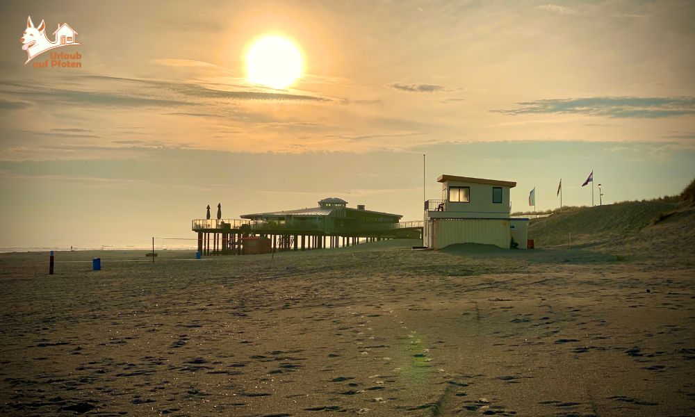 Der Strand von Ameland