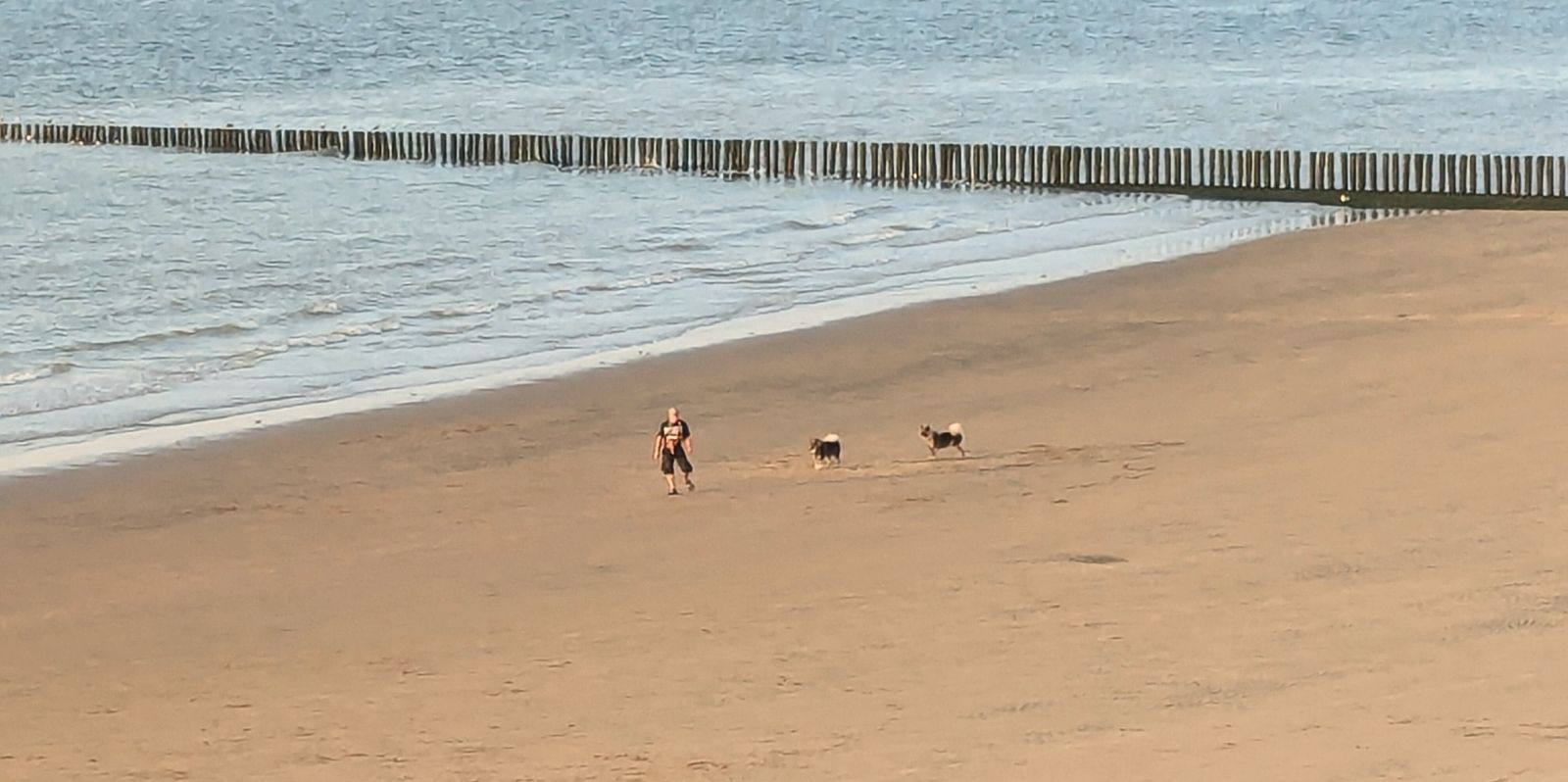 Der Hundestrand in Breskens