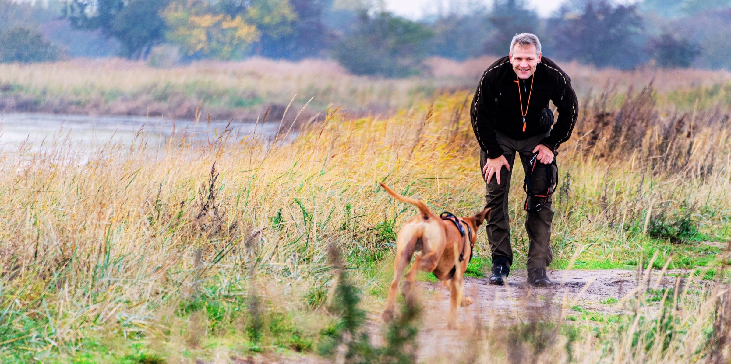 Urlaub mit Hund in Dänemark