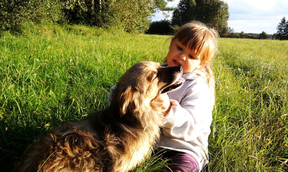 Ferienhaus mit Hund und Kind in Holland