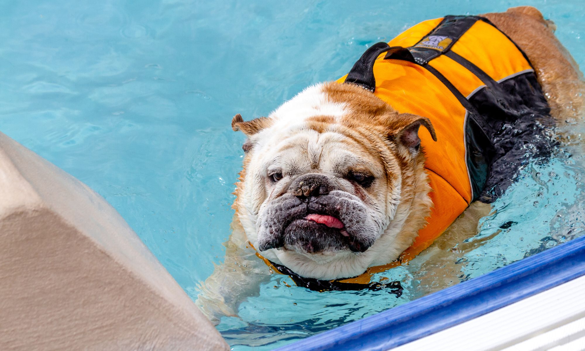 Sicherheit am Wasser
