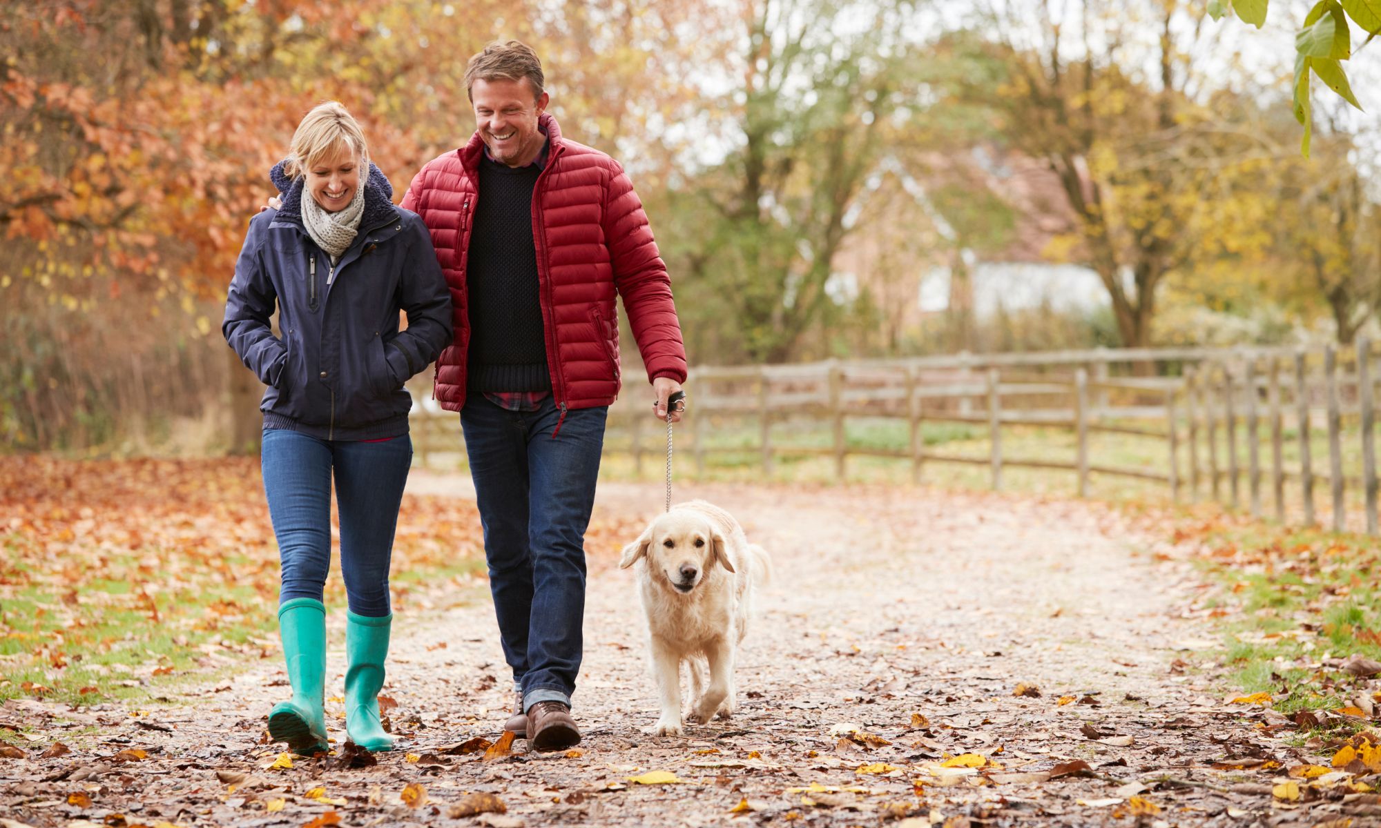 Der Herbst steht vor der Tür: Worauf Sie beim Waldspaziergang mit dem Hund achten sollten