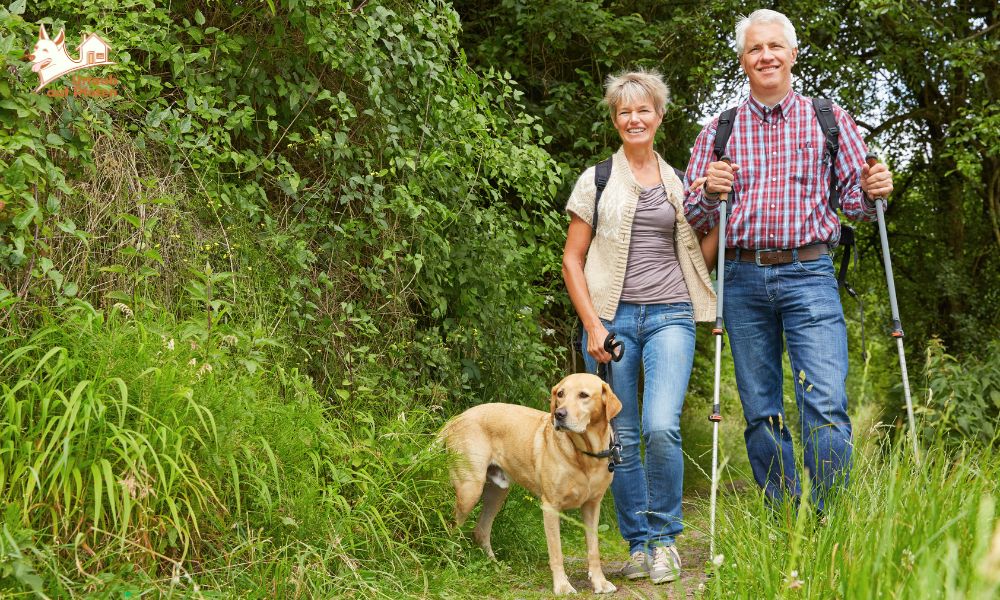 Hundekrankenversicherung auf Kurztrips oder längeren Ferienaufenthalten