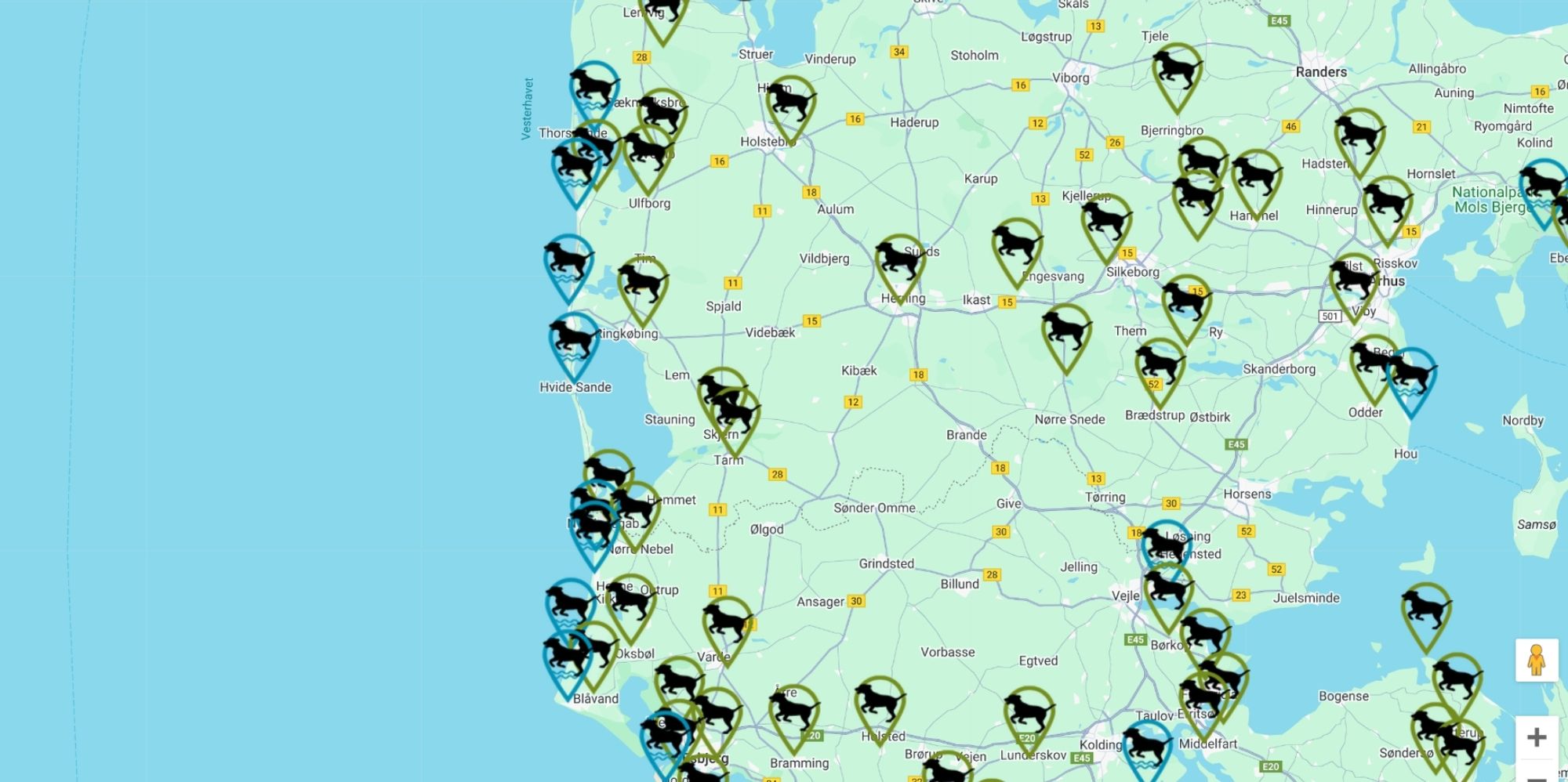Hvide Sande mit Hund