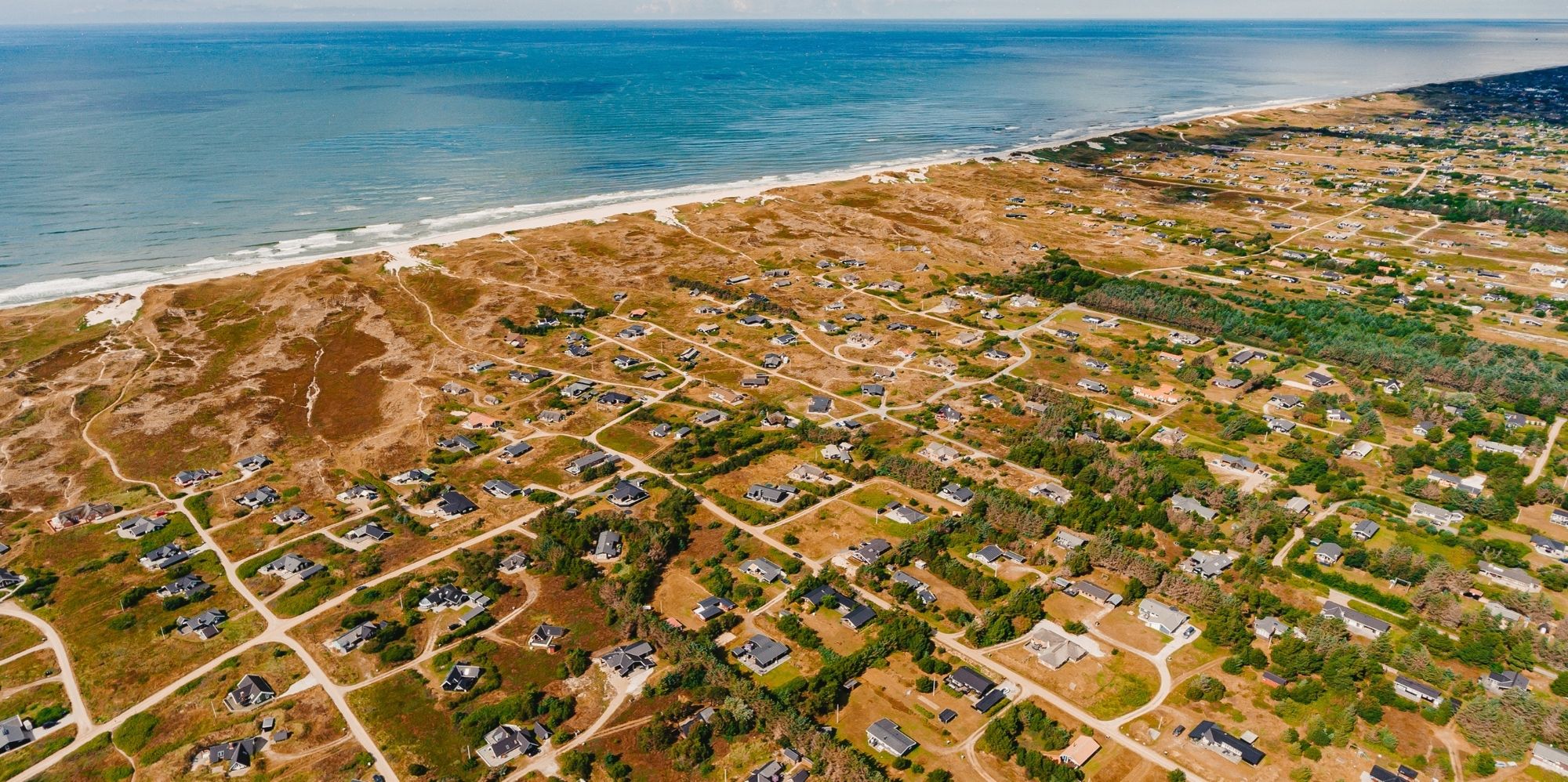 Urlaub mit Hund in Dänemark