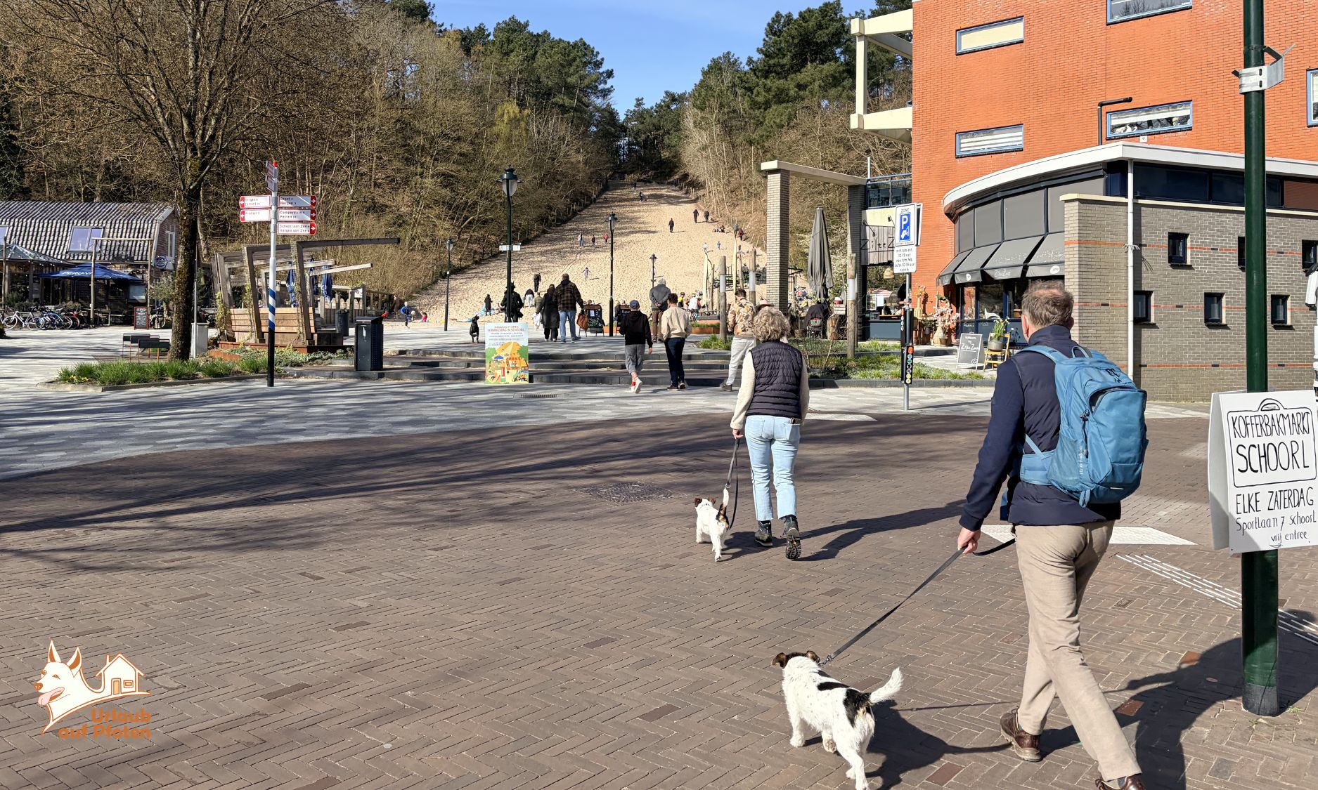 Urlaub in Schoorl mit Hund – Tipps, Strände & Ferienhäuser