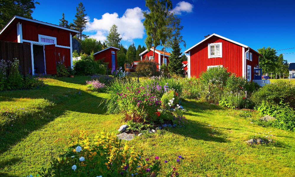 Mit Hund nach Småland