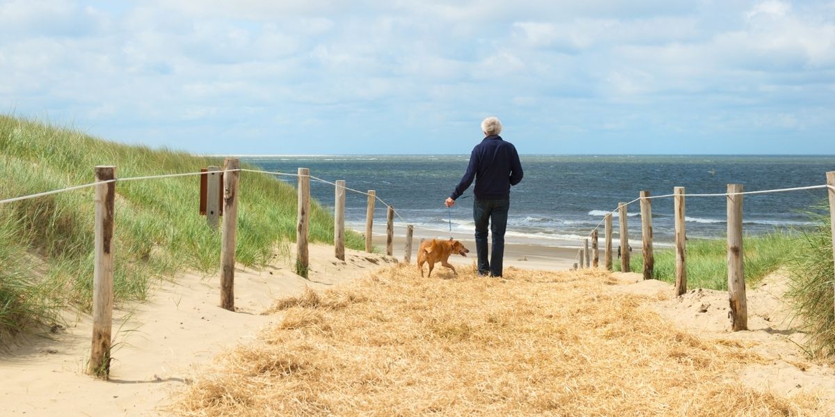 Lieblingsreiseziel mit Hund Texel Urlaub auf Pfoten