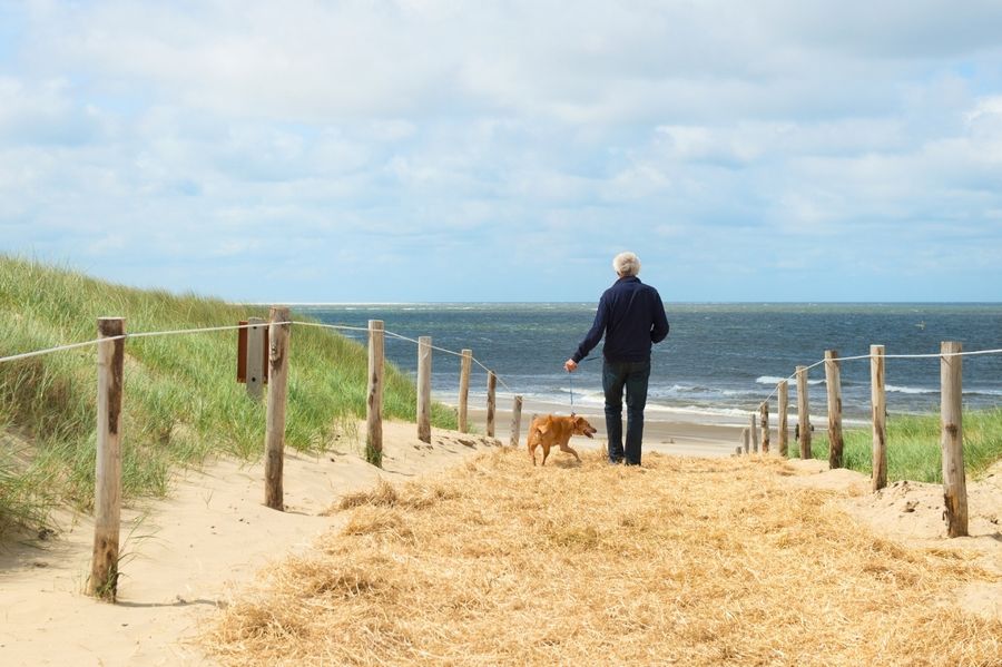 Lieblingsreiseziel mit Hund: Texel