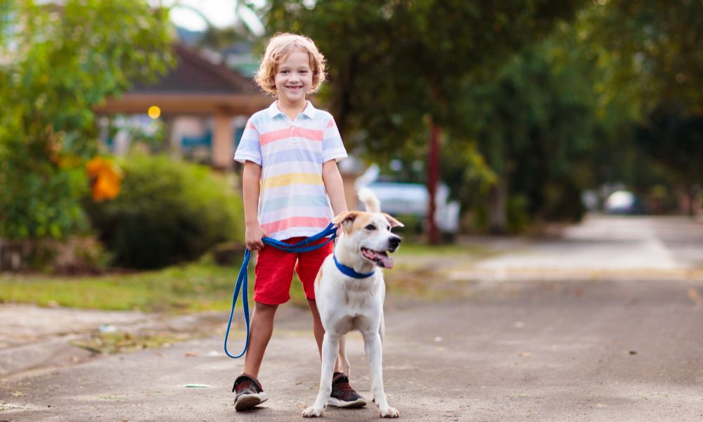 Urlaub mit Hund und Kind in der Bretagne