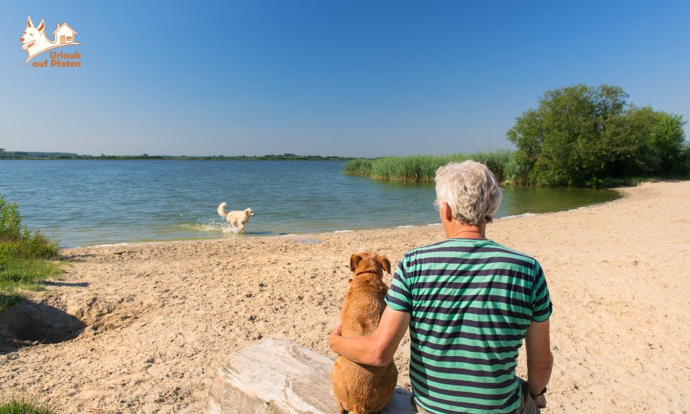 Urlaub mit Hund am Veluwemeer | Strandurlaub mitten in Holland