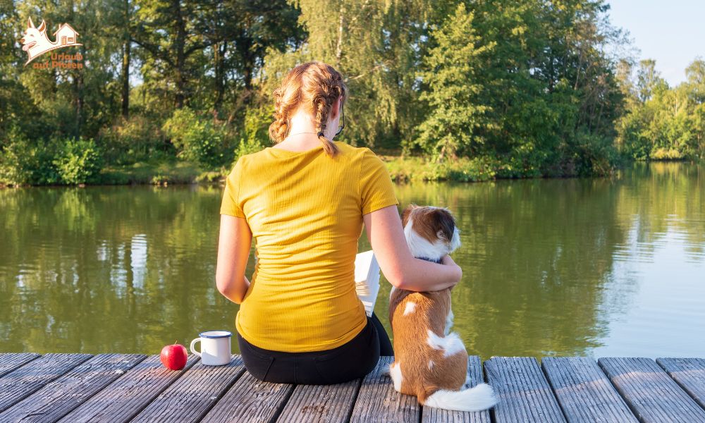 Wo darf mein Hund am Veluwemeer ins Wasser