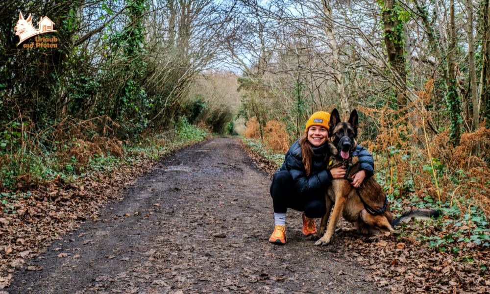 Ardennen mit Hund liegen im Trend