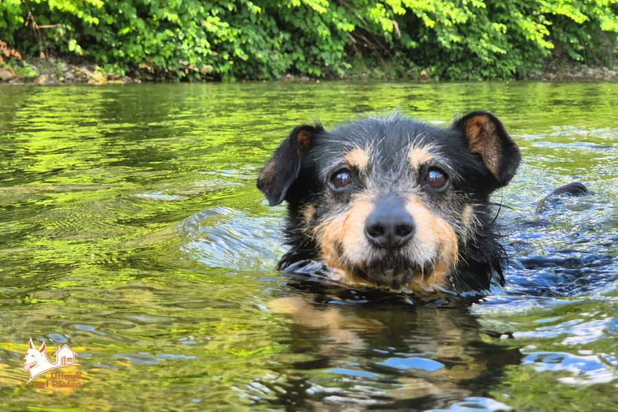 Natur erleben und gemeinsam wander