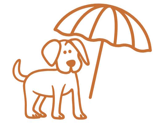 Ferienhaus direkt am Meer