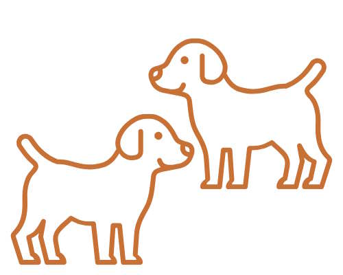 Urlaub mit vielen Hunden