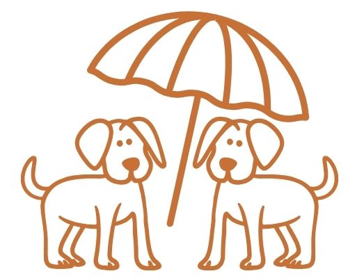 Ferienhaus am Meer mit mehreren Hunden