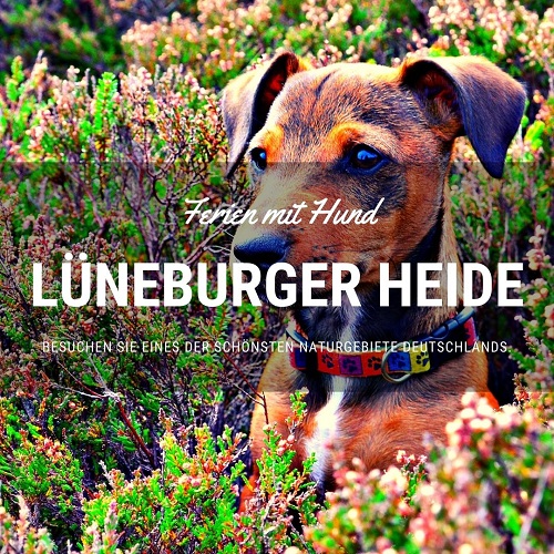 Ferienhaus mit Hund in der Lüneburger Heide