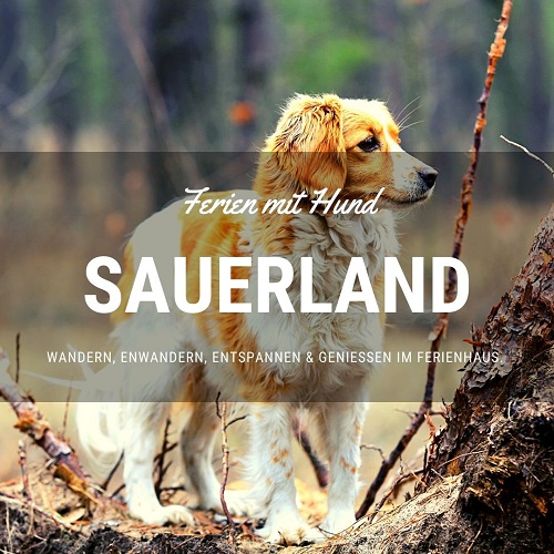 Ferienhaus mit Hund im Sauerland