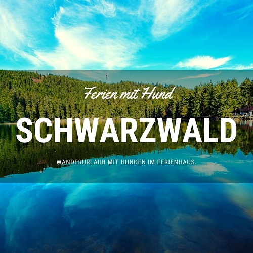 Ferienhaus mit Hund im Schwarzwald