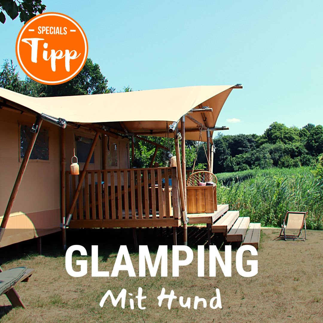 Glamping mit Hund