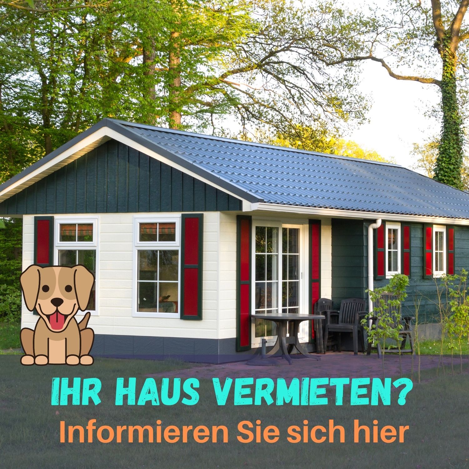 Ferienhaus mit hund privat vermieten