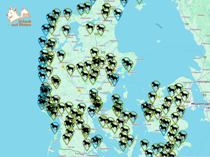 Hundestrände in Dänemark