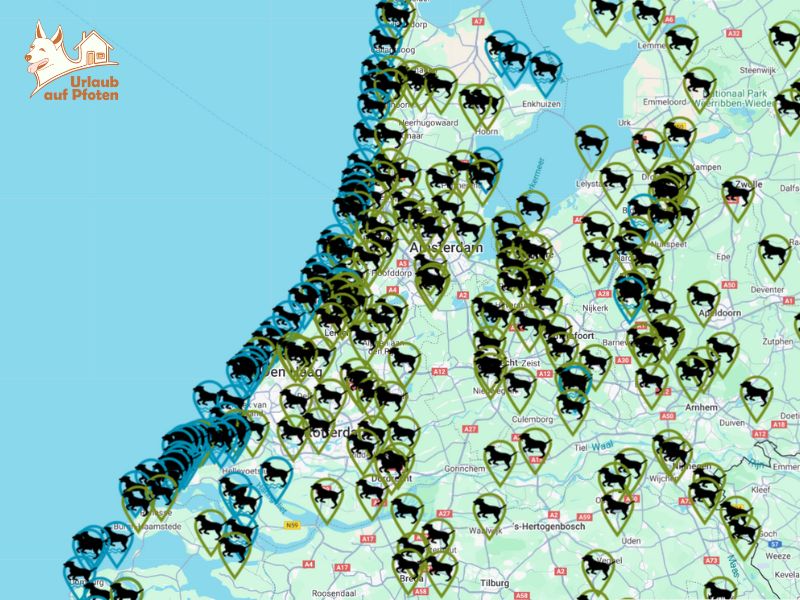 Hundestrände in den Niederlanden