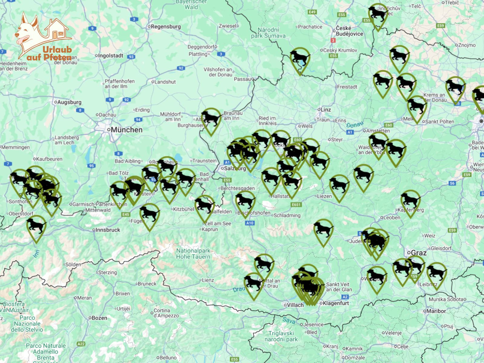 Hundestrände an den Badeseen in Österreich