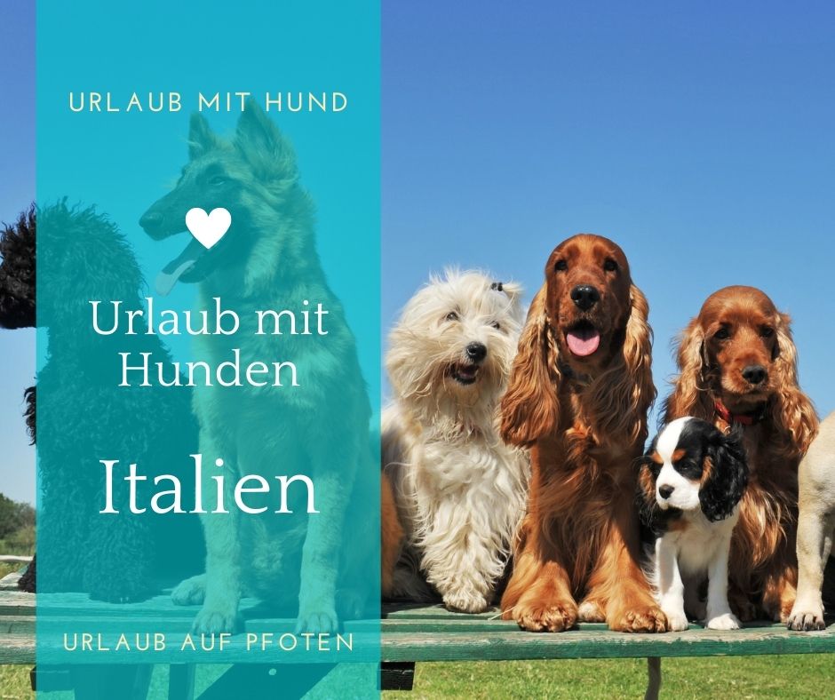 Italien Ferienhaus Mit Hund
