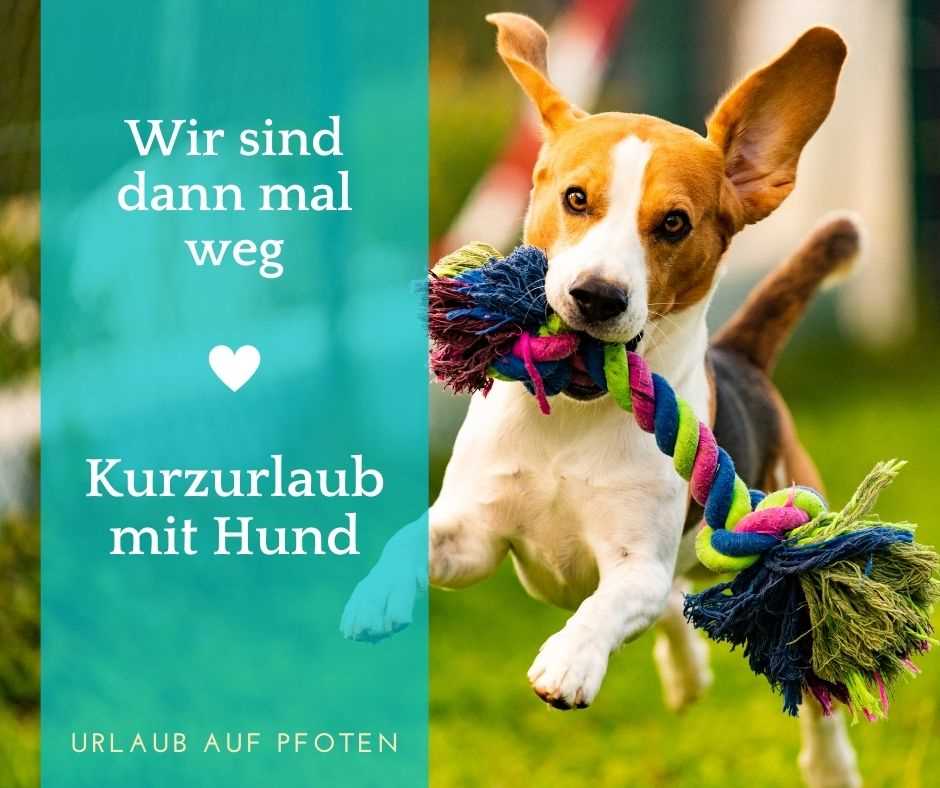 Kurzurlaub Mit Hund Langes Wochenende Kurzwoche