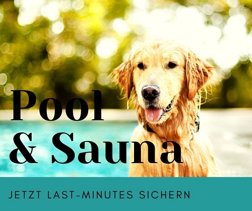 Sonderangebot Ferienhaus mit Schwimmbad