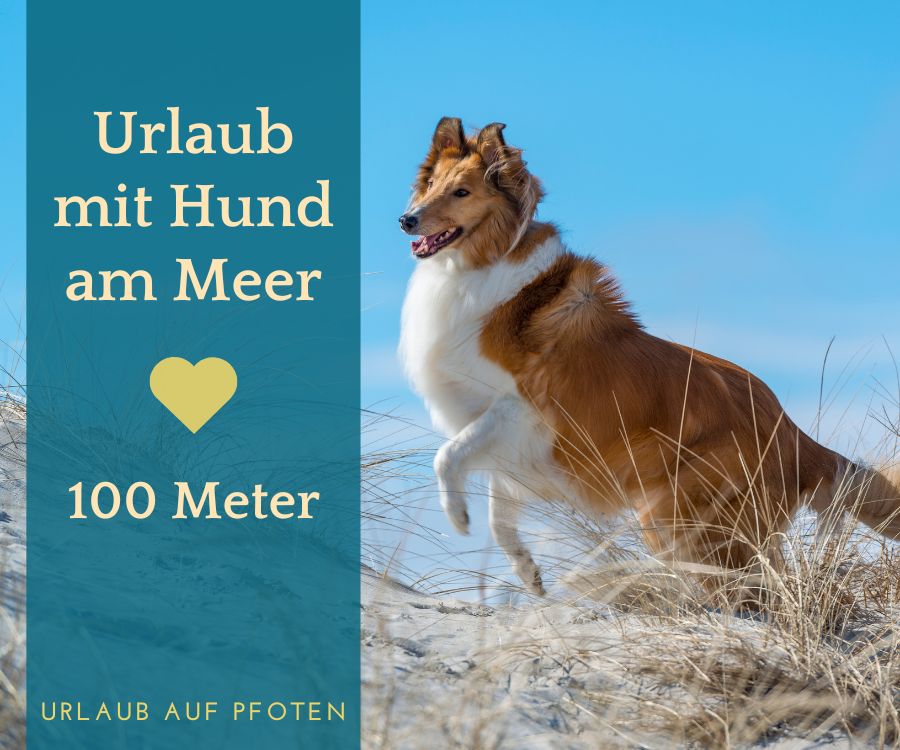 Ferienhaus 100 meter bis zum Meer