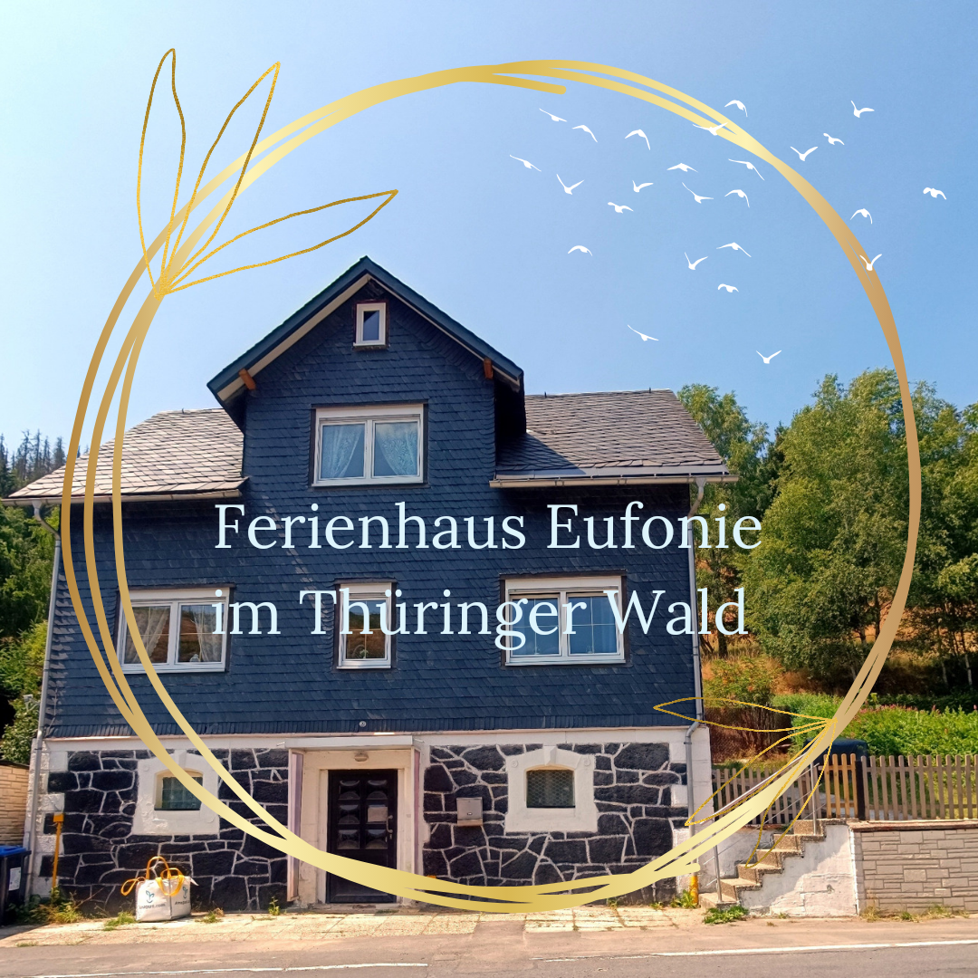 Ferienhaus mit umzäuntem Garten in Hasenthal (Deutschland) und 4 Hunde erlaubt