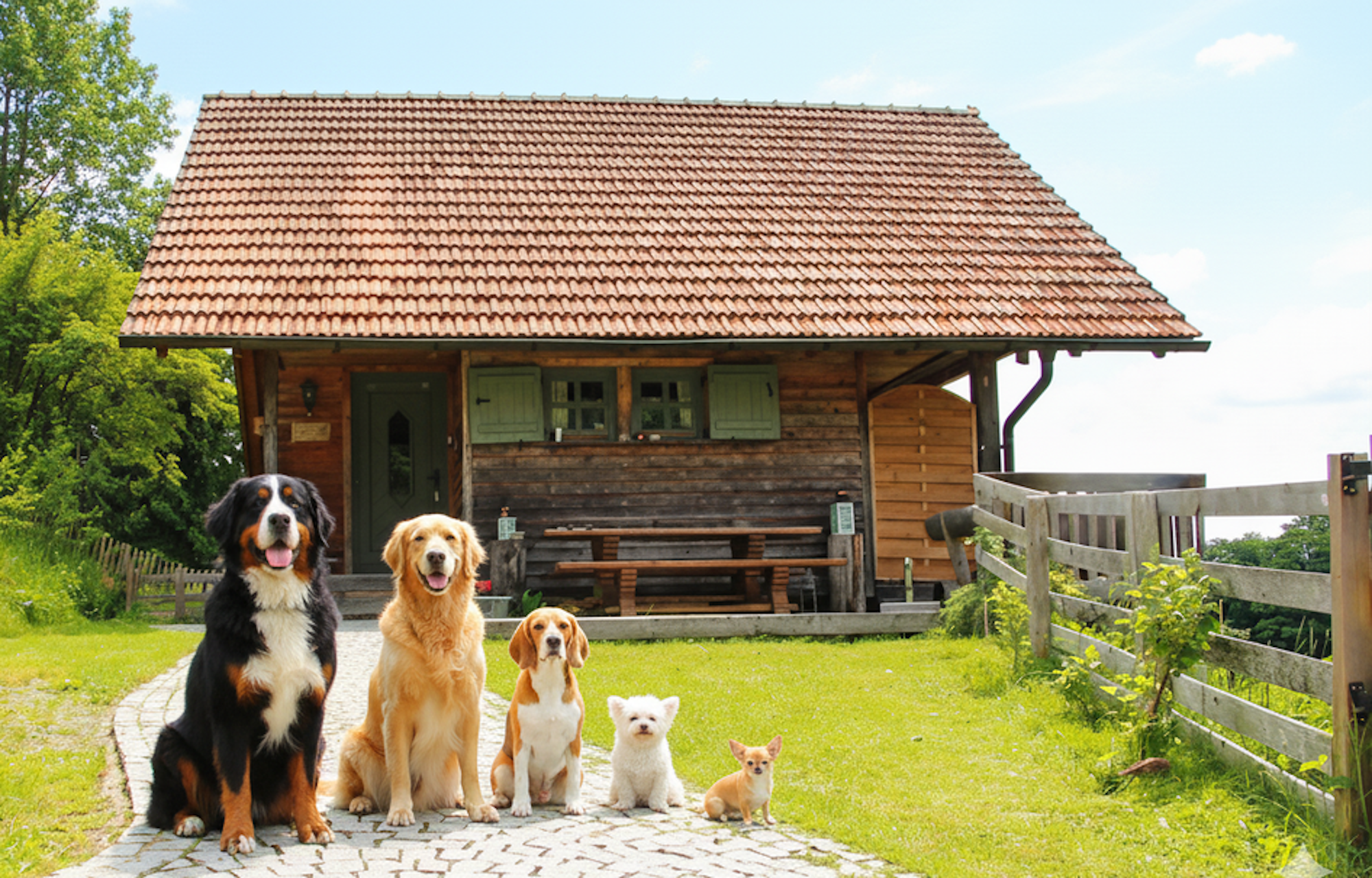Ferienhaus mit umzäuntem Garten in St.Oswald (Deutschland) und 5 Hunde erlaubt