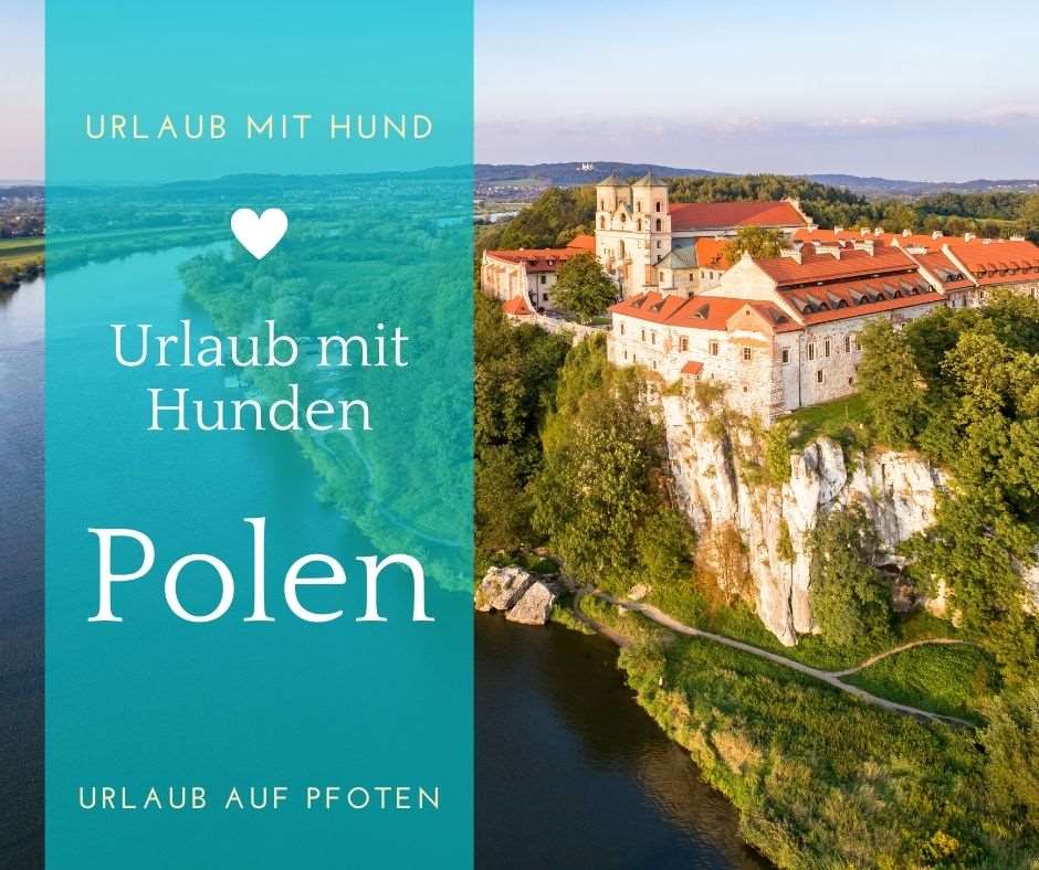 Polen Ferienhaus mit Hund.