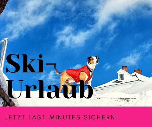 Last-Minute Angebote Skiurlaub mit Hund