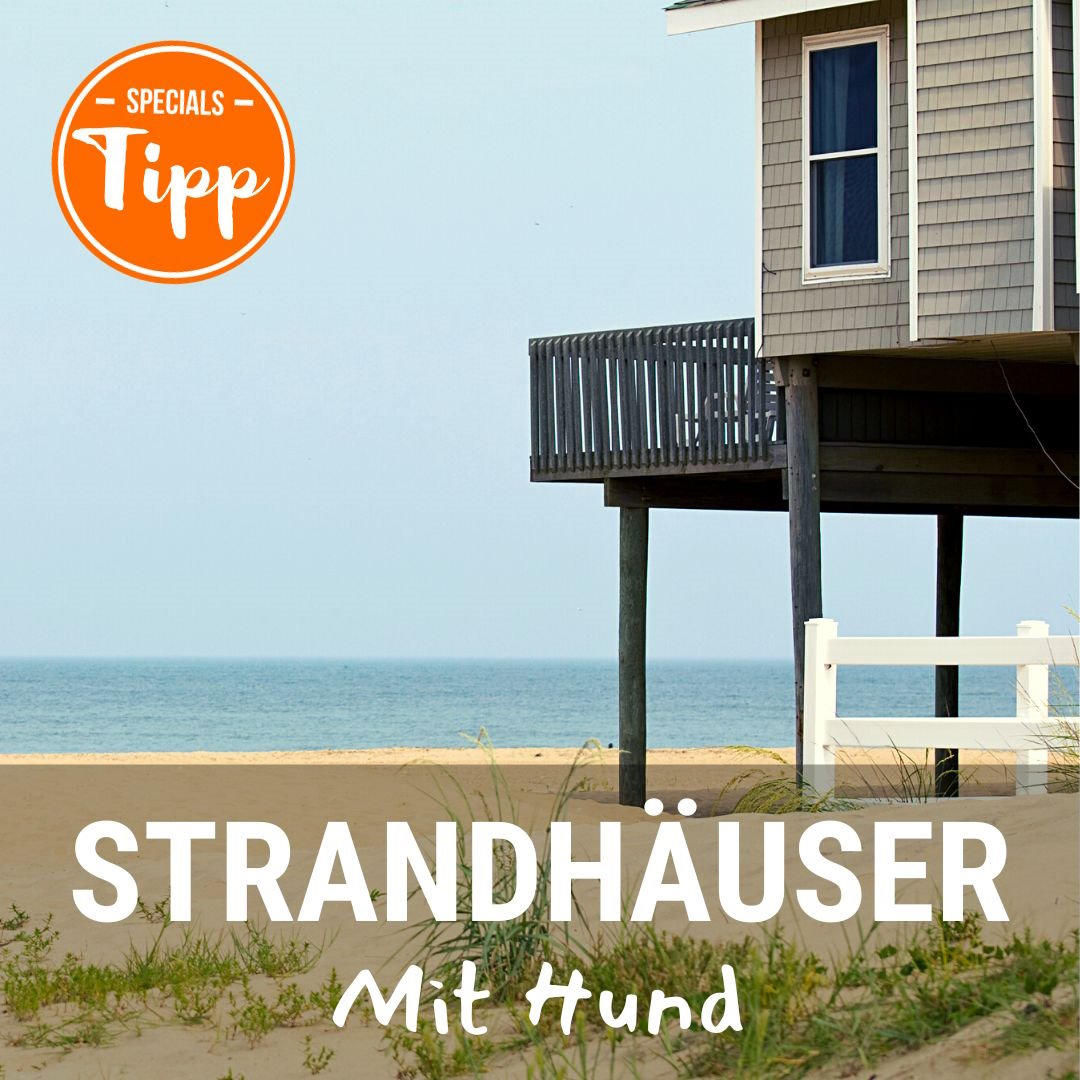 Strandhäuser mit Hund