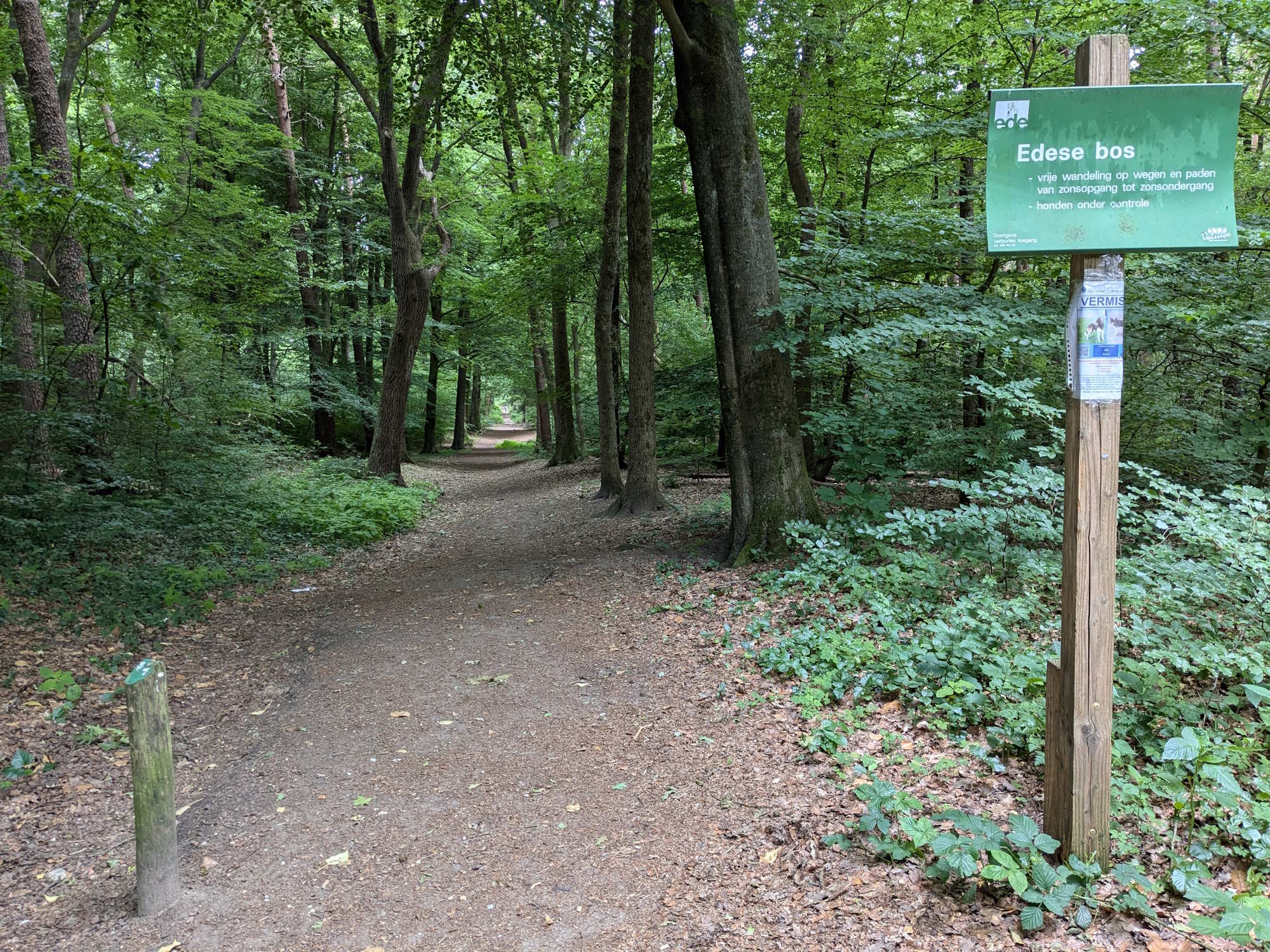 Freilaufbereich Edese Wald