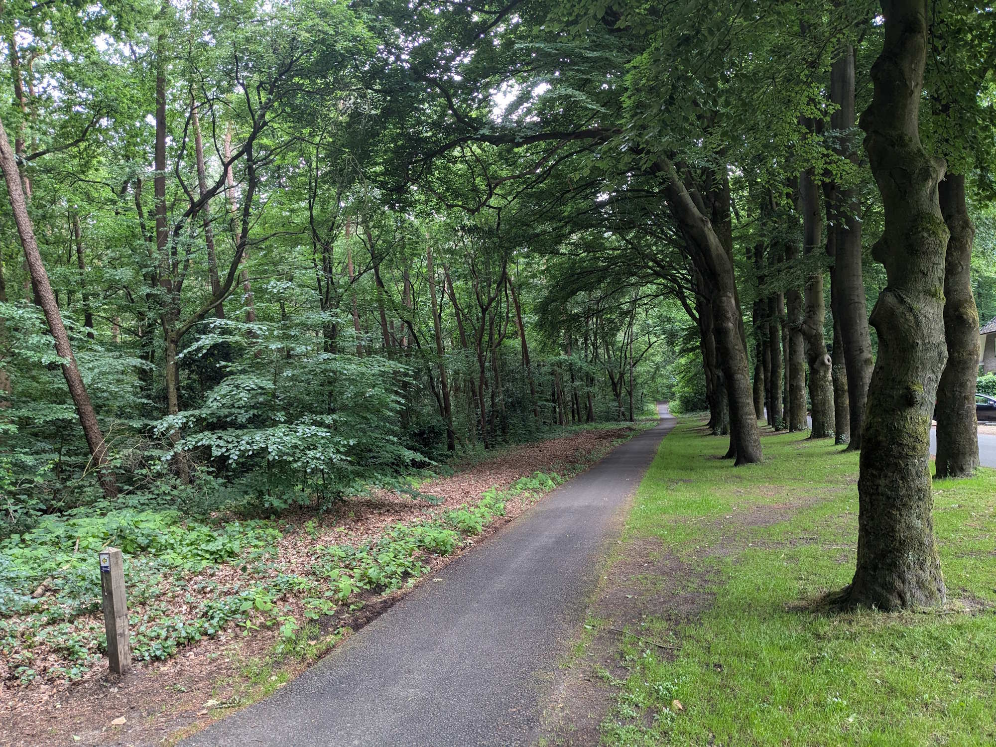 Weg entlang des Waldes