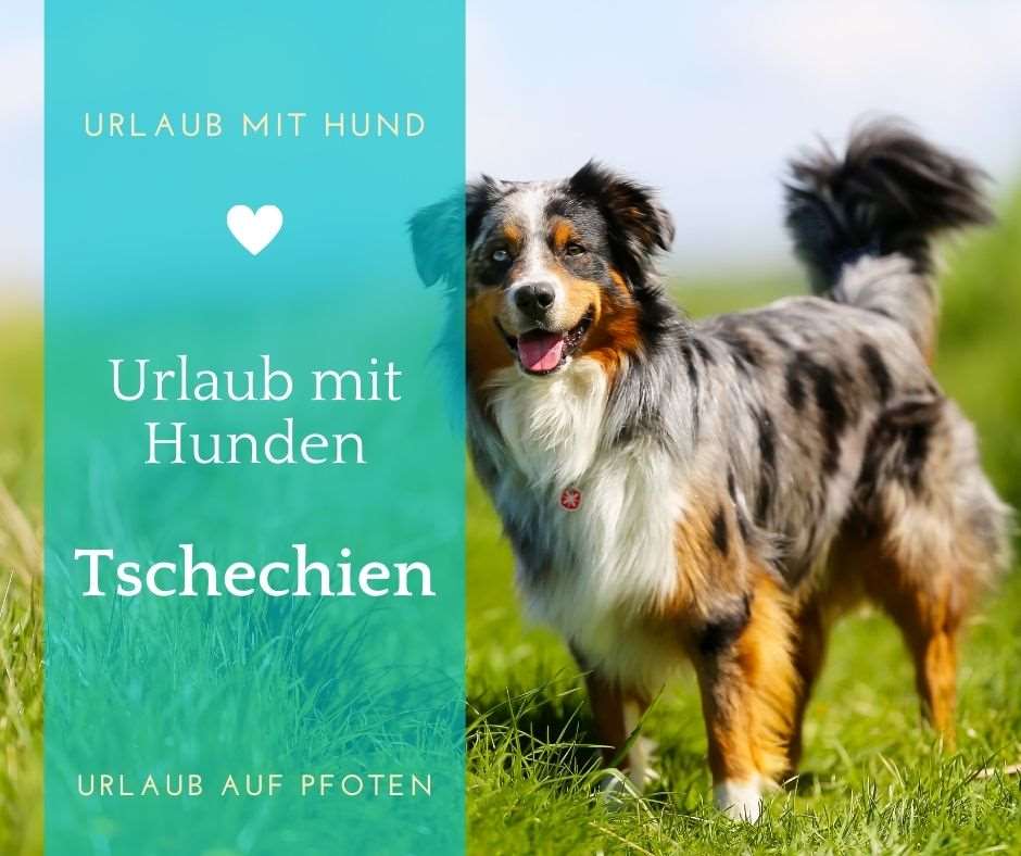 Ferienhäuser Tschechische Republik mit Hund Urlaub auf Pfoten