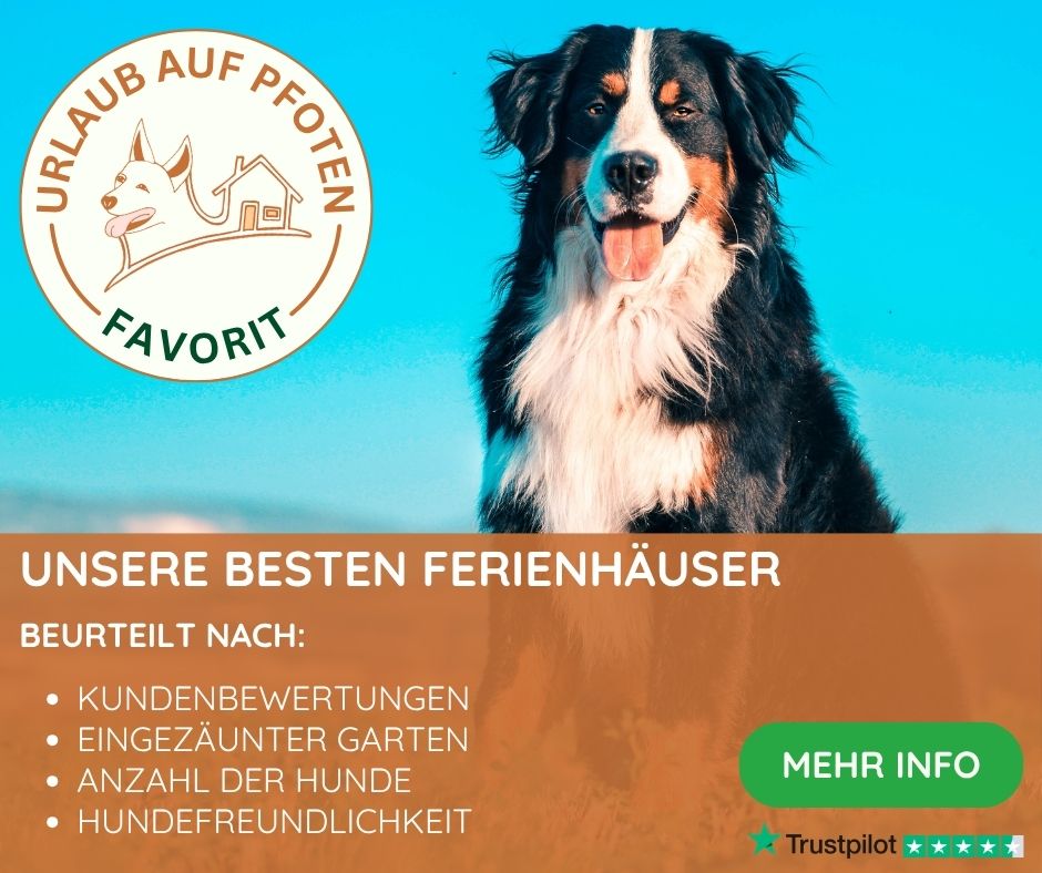 Unsere Favoriten